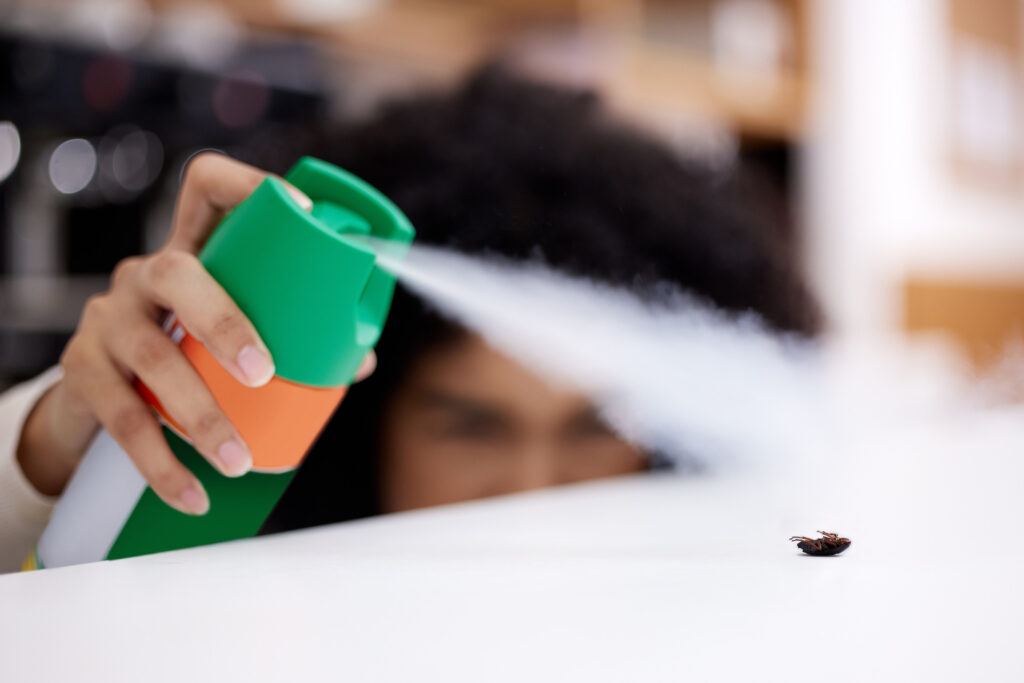Close up of doom bug spray on a cockroach on kitchen counter